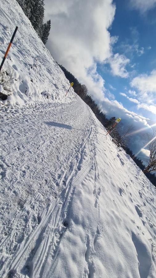 Gasthof Wimbachklamm Ramsau bei Berchtesgaden Ngoại thất bức ảnh